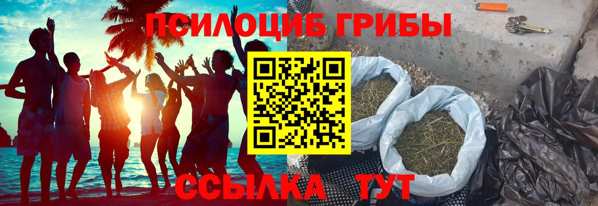 ГАШ Жигулёвск