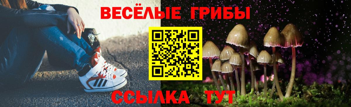 Галлюциногенные грибы GOLDEN TEACHER Жигулёвск