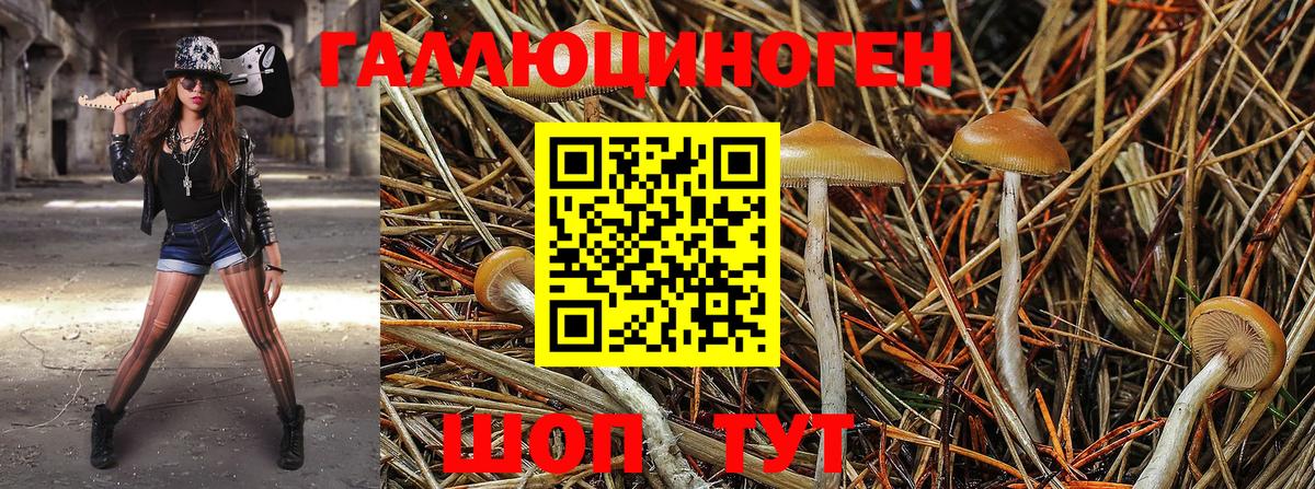 Галлюциногенные грибы Magic Shrooms  Вход с VPN  закладки  Жигулёвск 