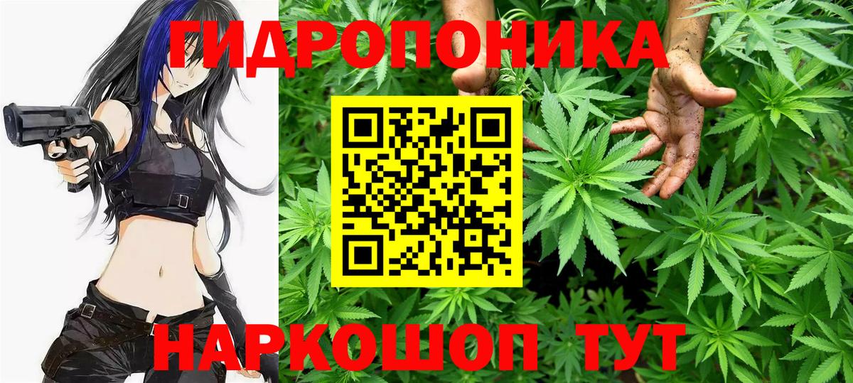Шишки марихуана OG Kush  Вход с VPN  Марихуана Amnesia  Жигулёвск 